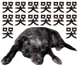 Handsome Dobby sticker #15896755