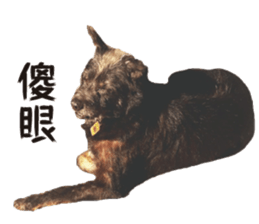 Handsome Dobby sticker #15896756