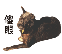 Handsome Dobby sticker #15896756