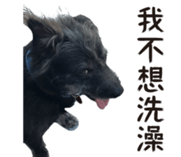 Handsome Dobby sticker #15896757