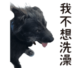 Handsome Dobby sticker #15896757