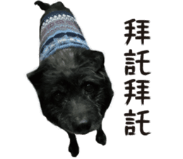 Handsome Dobby sticker #15896758