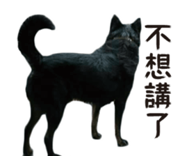 Handsome Dobby sticker #15896759