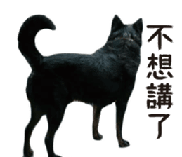 Handsome Dobby sticker #15896759