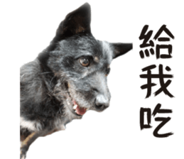 Handsome Dobby sticker #15896760