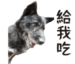 Handsome Dobby sticker #15896760