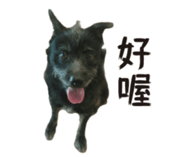 Handsome Dobby sticker #15896761