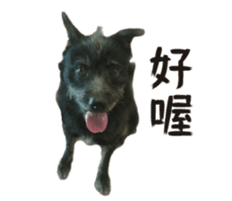 Handsome Dobby sticker #15896761