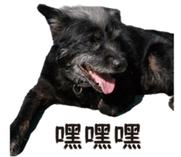 Handsome Dobby sticker #15896763