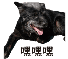 Handsome Dobby sticker #15896763