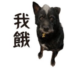 Handsome Dobby sticker #15896764