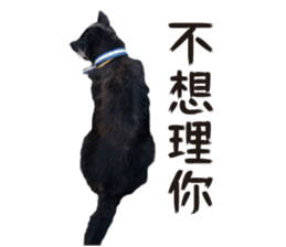 Handsome Dobby sticker #15896765