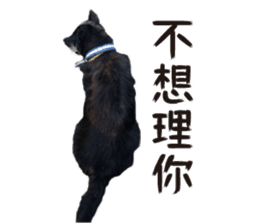 Handsome Dobby sticker #15896765