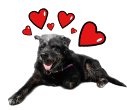 Handsome Dobby sticker #15896766