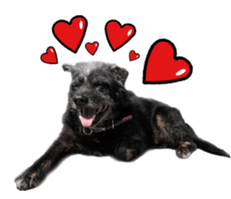 Handsome Dobby sticker #15896766