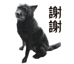 Handsome Dobby sticker #15896767