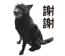 Handsome Dobby sticker #15896767