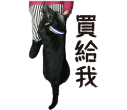 Handsome Dobby sticker #15896769