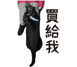 Handsome Dobby sticker #15896769