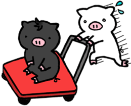 pigpam4 sticker #15896944
