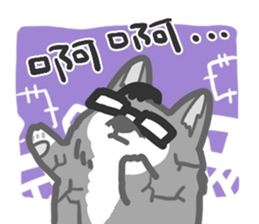 Editor Corgi sticker #15897377