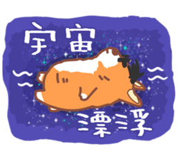 Editor Corgi sticker #15897400
