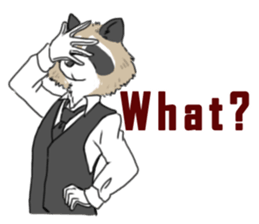 Mr. Raccoon sticker #15897402