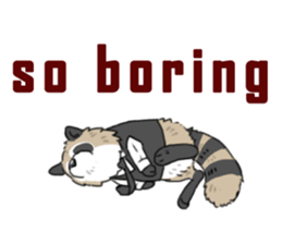 Mr. Raccoon sticker #15897412