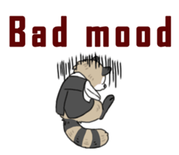 Mr. Raccoon sticker #15897418