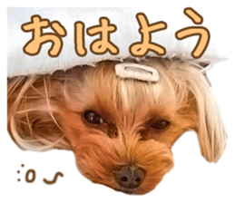 Cute dog Mint-chan sticker #15897610