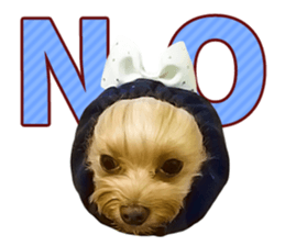 Cute dog Mint-chan sticker #15897621