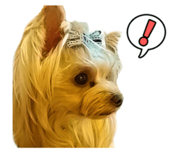 Cute dog Mint-chan sticker #15897624