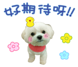 Geely puppy's daily sticker #15898674