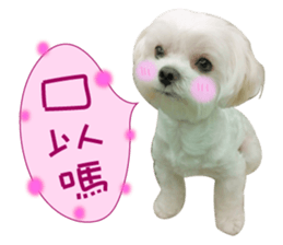 Geely puppy's daily sticker #15898675