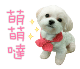 Geely puppy's daily sticker #15898676