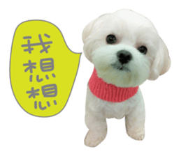Geely puppy's daily sticker #15898677
