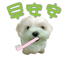 Geely puppy's daily sticker #15898678