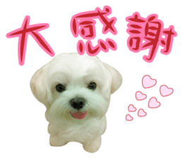 Geely puppy's daily sticker #15898680