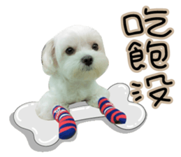 Geely puppy's daily sticker #15898681