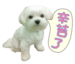 Geely puppy's daily sticker #15898682