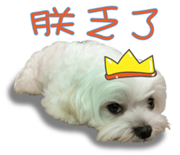 Geely puppy's daily sticker #15898683
