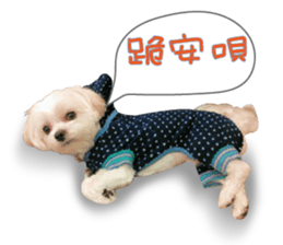 Geely puppy's daily sticker #15898684