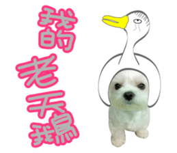 Geely puppy's daily sticker #15898686