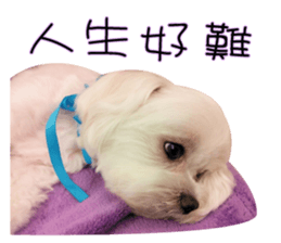 Geely puppy's daily sticker #15898687