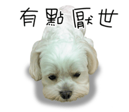 Geely puppy's daily sticker #15898688