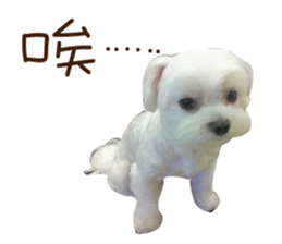 Geely puppy's daily sticker #15898689