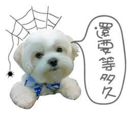 Geely puppy's daily sticker #15898690