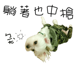 Geely puppy's daily sticker #15898691