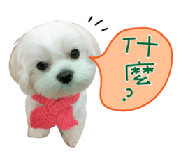 Geely puppy's daily sticker #15898692