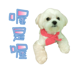 Geely puppy's daily sticker #15898693